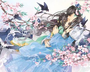 天美杨朵儿
